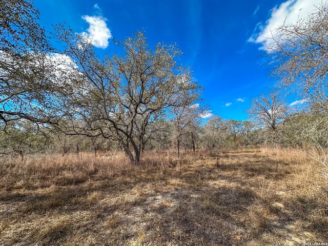 20 Clear Lake Loop, Poteet, TX 78065