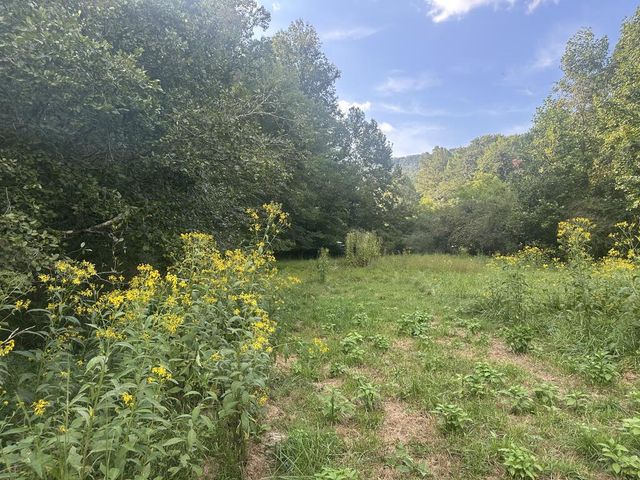 191 NW Roach Cove Road, Hayesville, NC 28904