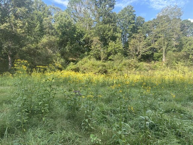 191 NW Roach Cove Road, Hayesville, NC 28904