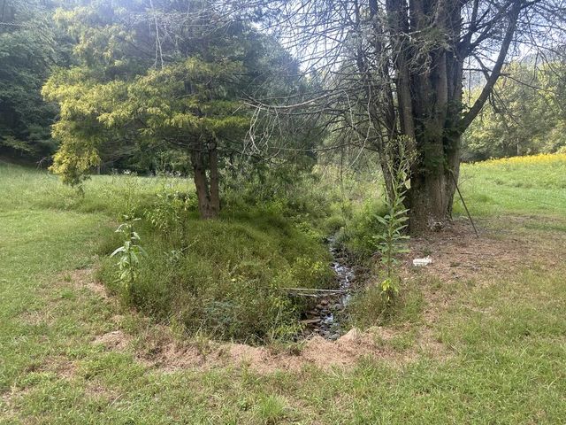 191 NW Roach Cove Road, Hayesville, NC 28904