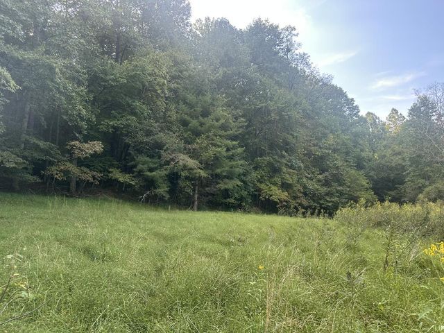 191 NW Roach Cove Road, Hayesville, NC 28904