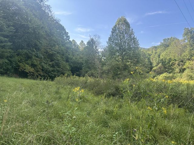 191 NW Roach Cove Road, Hayesville, NC 28904
