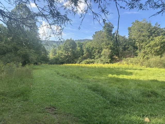 191 NW Roach Cove Road, Hayesville, NC 28904