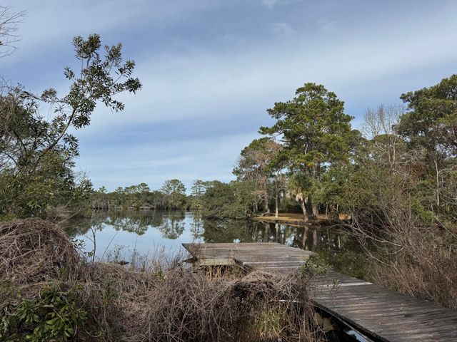 816 Bose Court, Mount Pleasant, SC 29464