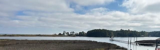 11551 Dauphin Island Parkway, Theodore, AL 36582