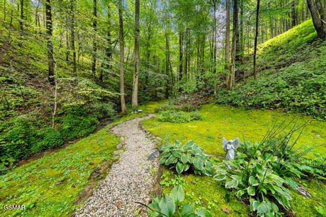 3127 Emerald Springs Loop, Sevierville, TN 37862