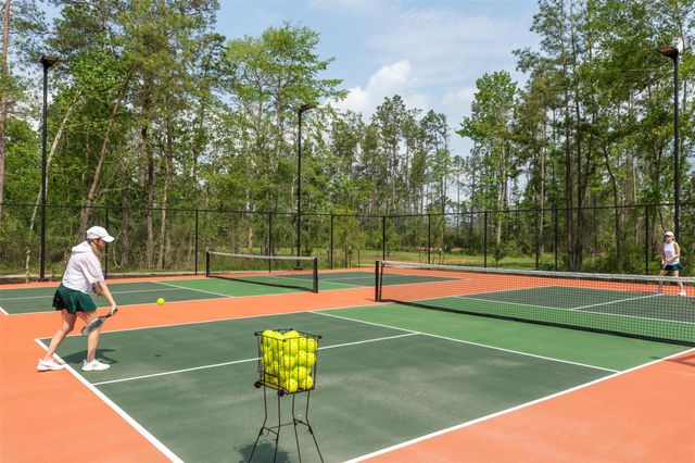 12830 Forest Garden Court, Conroe, TX 77302