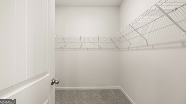 79 Cyrilla Walk, Dallas, GA 30132