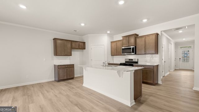 79 Cyrilla Walk, Dallas, GA 30132