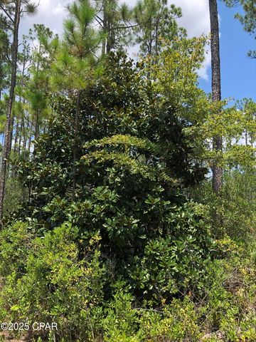 0 Timbercrest Road, Fountain, FL 32438