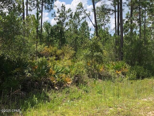 0 Timbercrest Road, Fountain, FL 32438