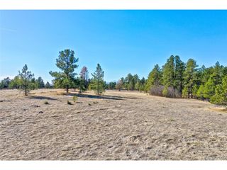 1801 Marie Elena Way, Franktown, CO 80116