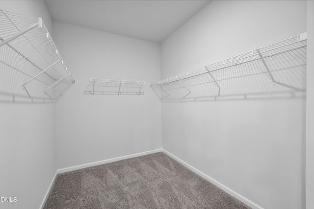 134 Gray Pine Way, Sanford, NC 27332