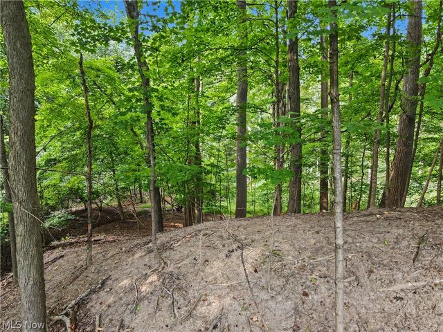 10385 King Coe Lane, Strongsville, OH 44149