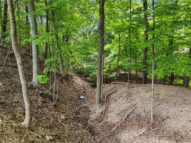10385 King Coe Lane, Strongsville, OH 44149