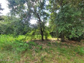 Magnolia Street, Gulfport, MS 39507