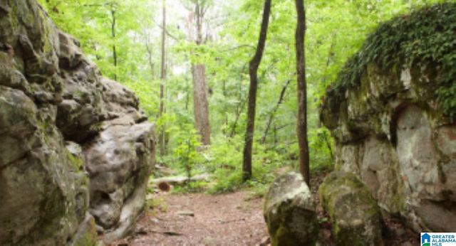 0536 PRESERVE WAY, Hoover, AL 35226