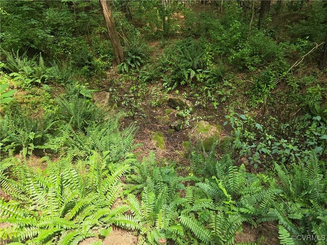 2139 Haleford Ct, Powhatan, VA 23139