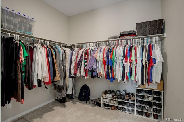 5483 Shadow Creek Court, Windsor, CO 80528