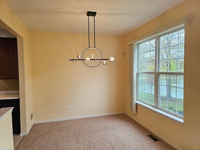 2923 Bartlett Court 2923, Naperville, IL 60564
