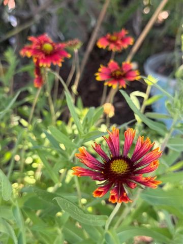 8403 W GULF BOULEVARD, Treasure Island, FL 33706