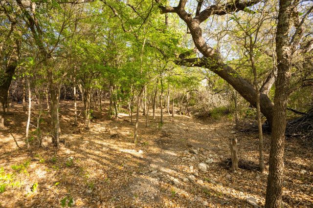 6234 S Fm 1174, Bertram, TX 78605