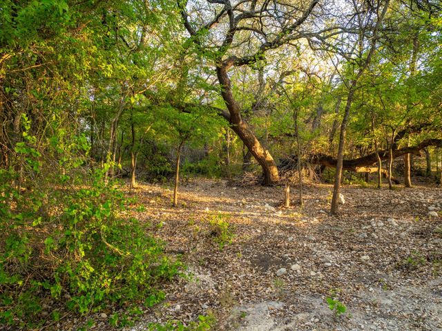 6234 S Fm 1174, Bertram, TX 78605