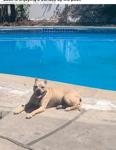 14284 Balmoral Street, Riverview, MI 48193