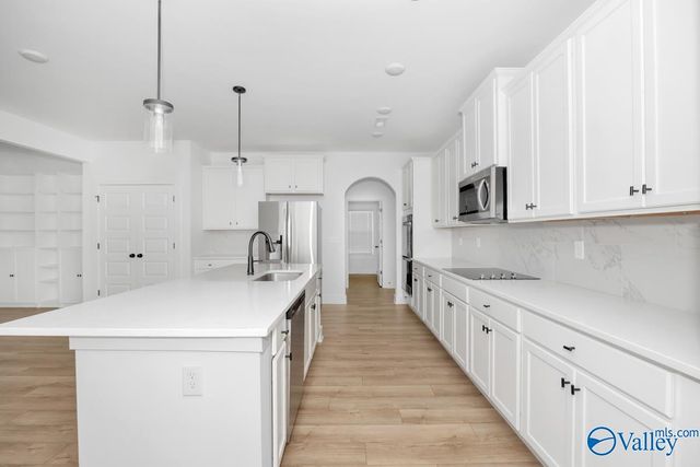 106 Lottie Belle Court, Madison, AL 35756