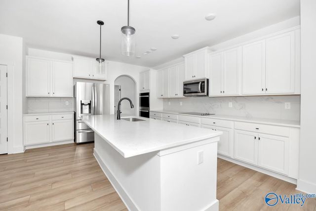106 Lottie Belle Court, Madison, AL 35756