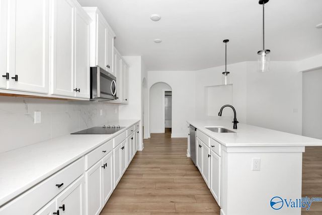 106 Lottie Belle Court, Madison, AL 35756