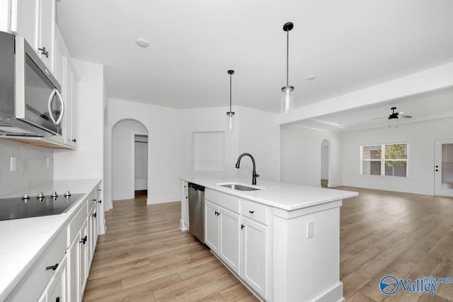106 Lottie Belle Court, Madison, AL 35756