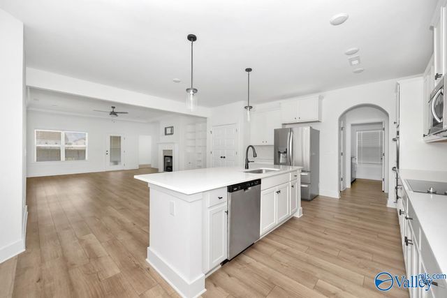 106 Lottie Belle Court, Madison, AL 35756