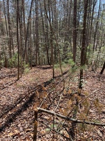 Lot #18 Blue Mountain Drive, Wilkesboro, NC 28697