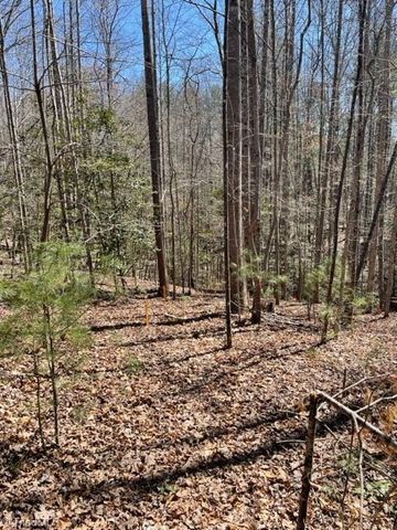 Lot #18 Blue Mountain Drive, Wilkesboro, NC 28697