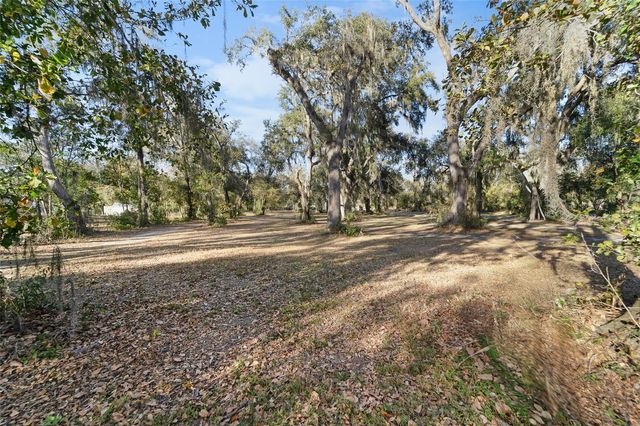 3007 OWLS NEST LANE, Plant City, FL 33565