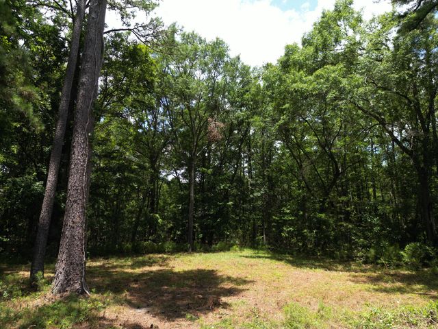 5810 Dixie Plantation Road, Hollywood, SC 29449