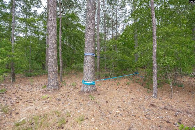 1904 Jim Spence Road, Lexington, SC 29073