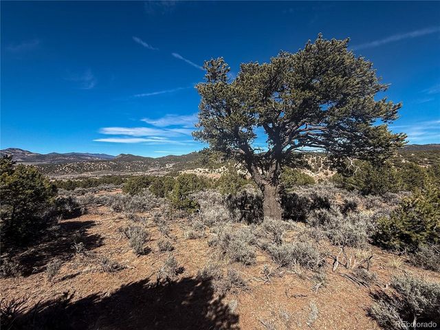 0 Tiernan Rd, Fort Garland, CO 81133