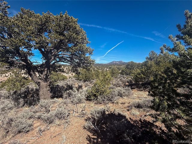 0 Tiernan Rd, Fort Garland, CO 81133