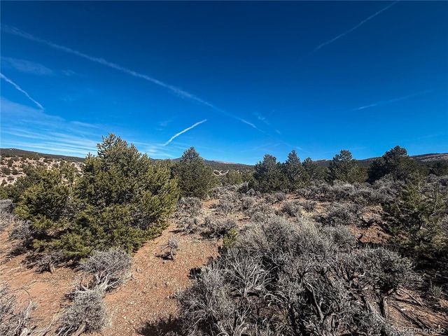0 Tiernan Rd, Fort Garland, CO 81133