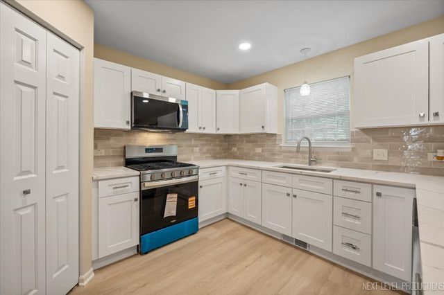 438 W Meadow Mist Lane, Round Lake, IL 60073