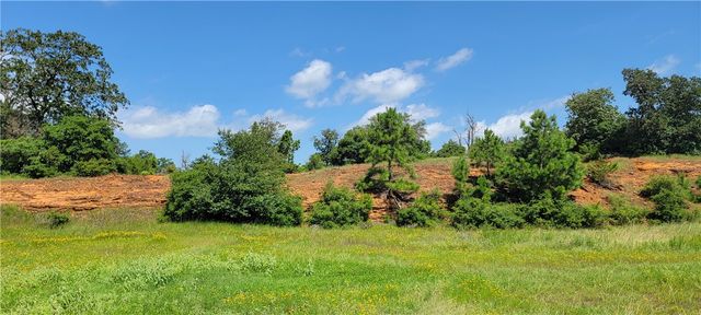 0000 Lone Star Lane, Franklin, TX 77856