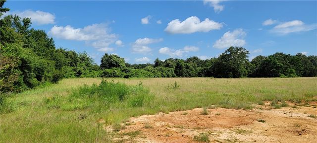 0000 Lone Star Lane, Franklin, TX 77856