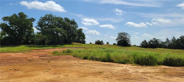 0000 Lone Star Lane, Franklin, TX 77856