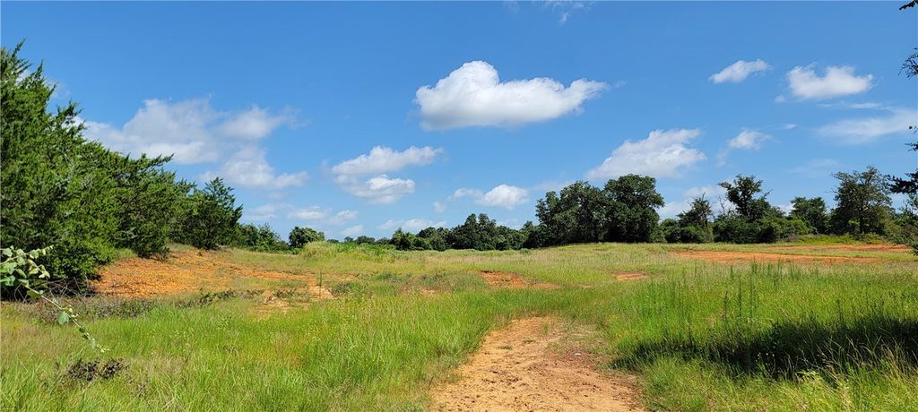 0000 Lone Star Lane, Franklin, TX 77856 — photo 4