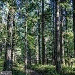 RTE 9 LOT 12 SECLUDED LANE, Georgetown, DE 19947