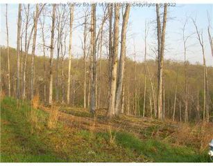 18 Majestic Pointe, Elkview, WV 25071