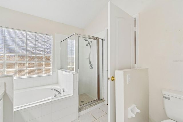 1229 CRIMSON CLOVER LANE, Wesley Chapel, FL 33543