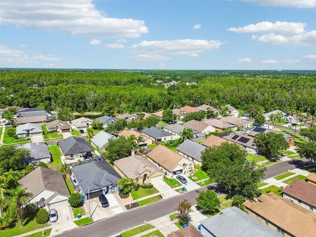 1229 CRIMSON CLOVER LANE, Wesley Chapel, FL 33543